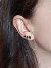 Pendientes trepadores