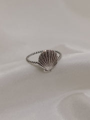 Anillo Shell